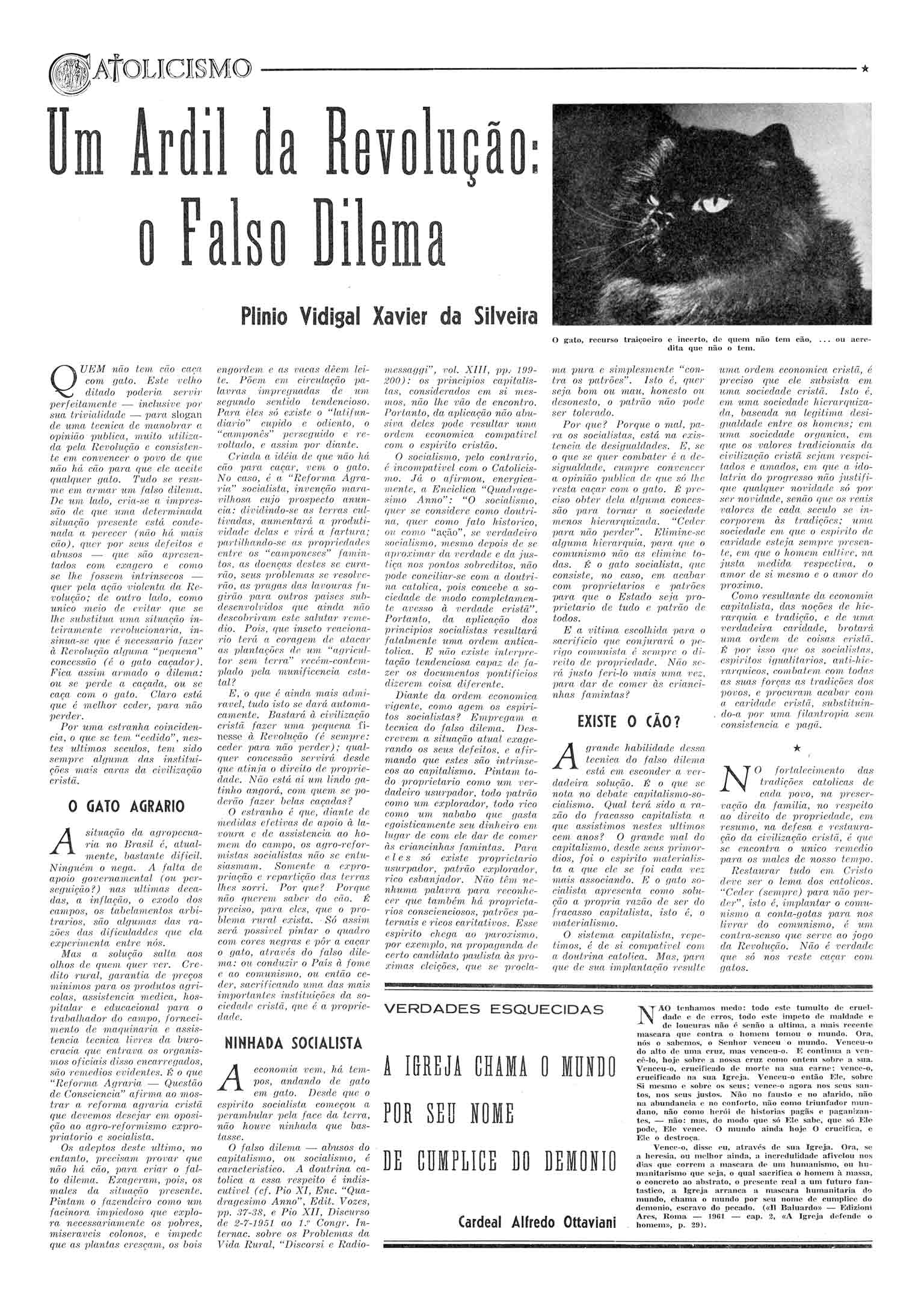Página 08