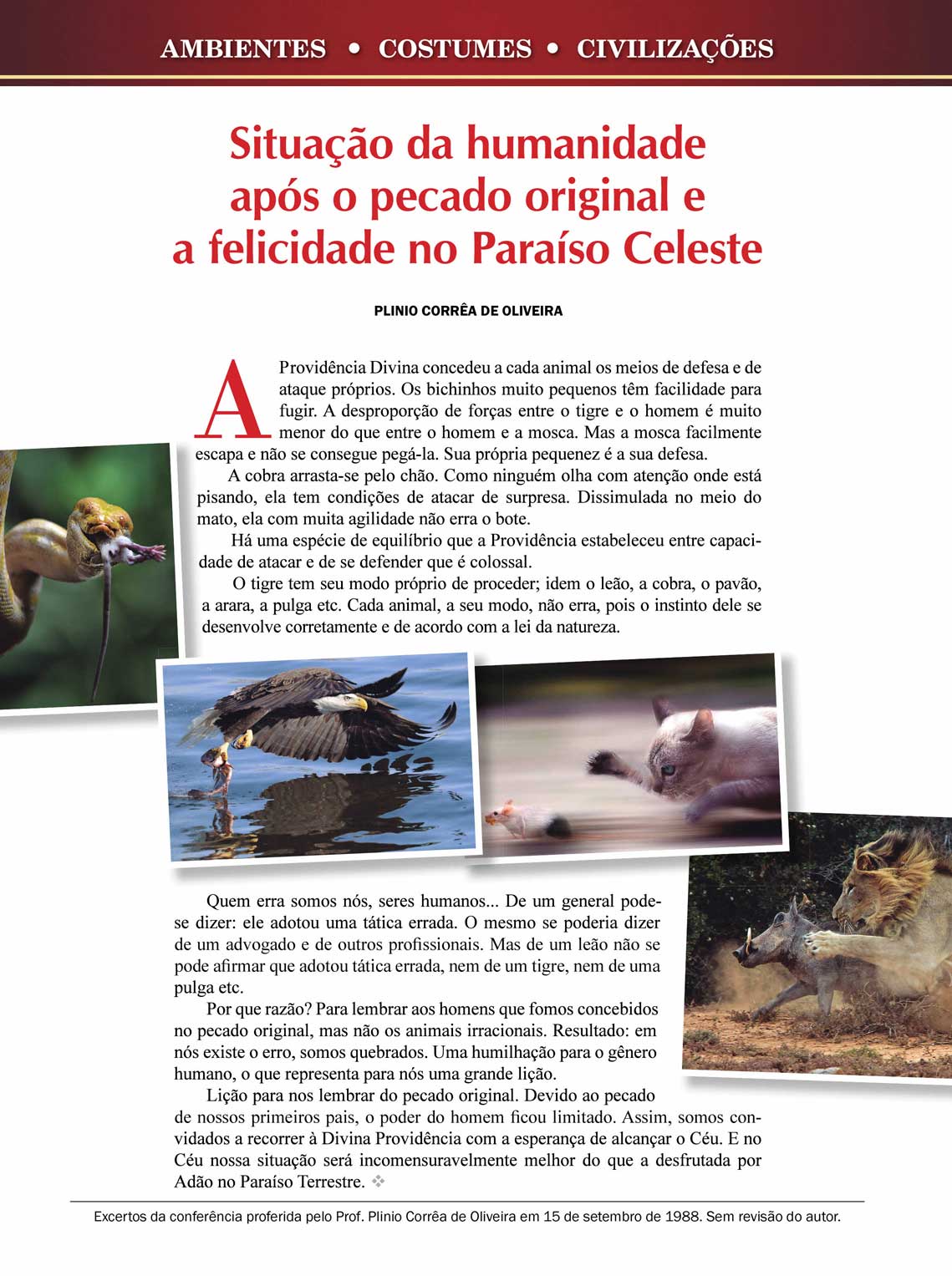 Página 52