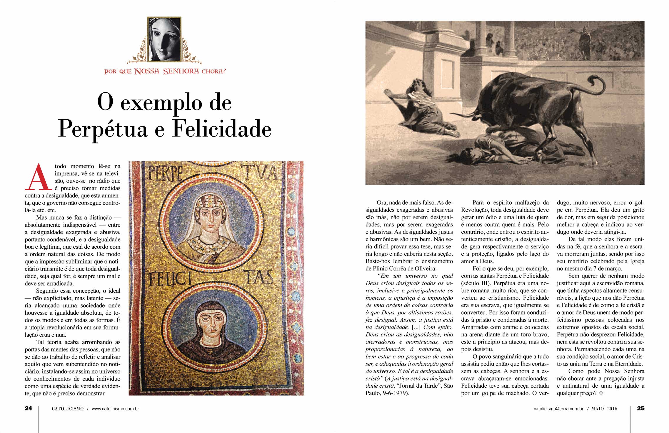 Página 24-25